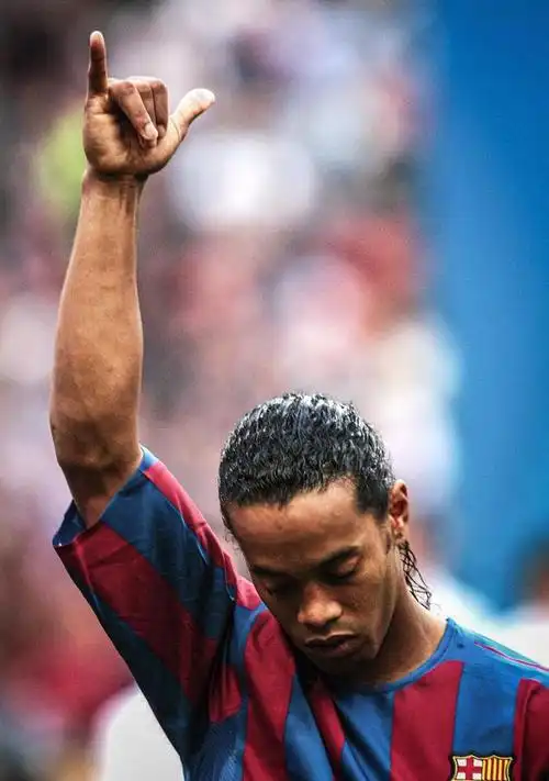 进行了细致 进行了细致