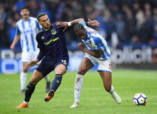 入了新的活 入了新的活